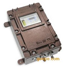 TS-4100P气体探测器