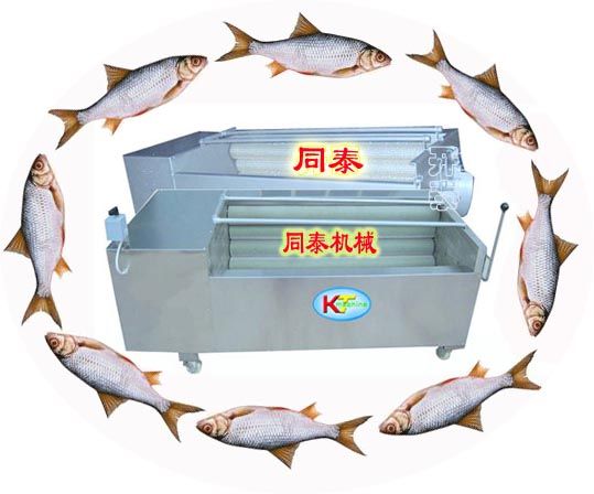 刮鱼鳞机，去鱼鳞机，剥鱼鳞机—认准“同泰”牌
