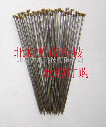1#昆虫固定针  昆虫针北京供应