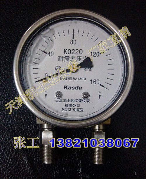 100KPA-160KPA-250KPA-600KPA防腐抗震耐震不锈钢差压表