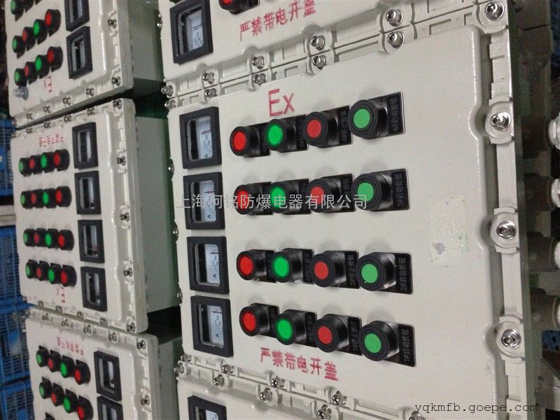 冷冻环境专用/BXk8050挂式防爆控制箱