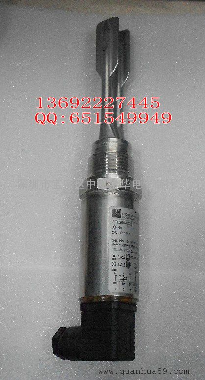 E+H音叉 FTL260-0020