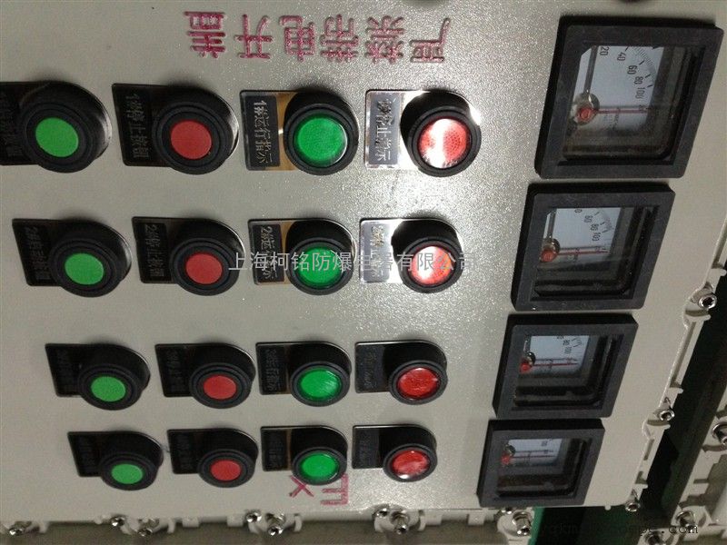 防爆控制箱（带仪表）BXK