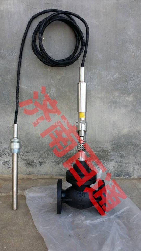自力式铸钢温控阀 PN25 自力式温控阀 PN16