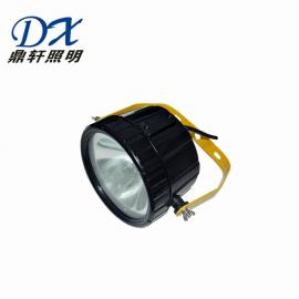鼎軒照明RWX663防爆泛光燈氙氣35W/24V