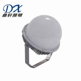 鼎軒照明LED道路燈石油化工60W/120WZH-SL1