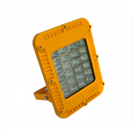 鼎軒照明RWX506免維護(hù)LED防爆泛光燈座式壁掛式吸頂式