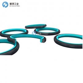 BUSAK+SHAMBAN K型特康斯特封RS RSK系列RSK301600-T46N