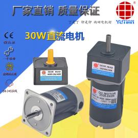 閘機(jī)設(shè)備 30W直流電機(jī)