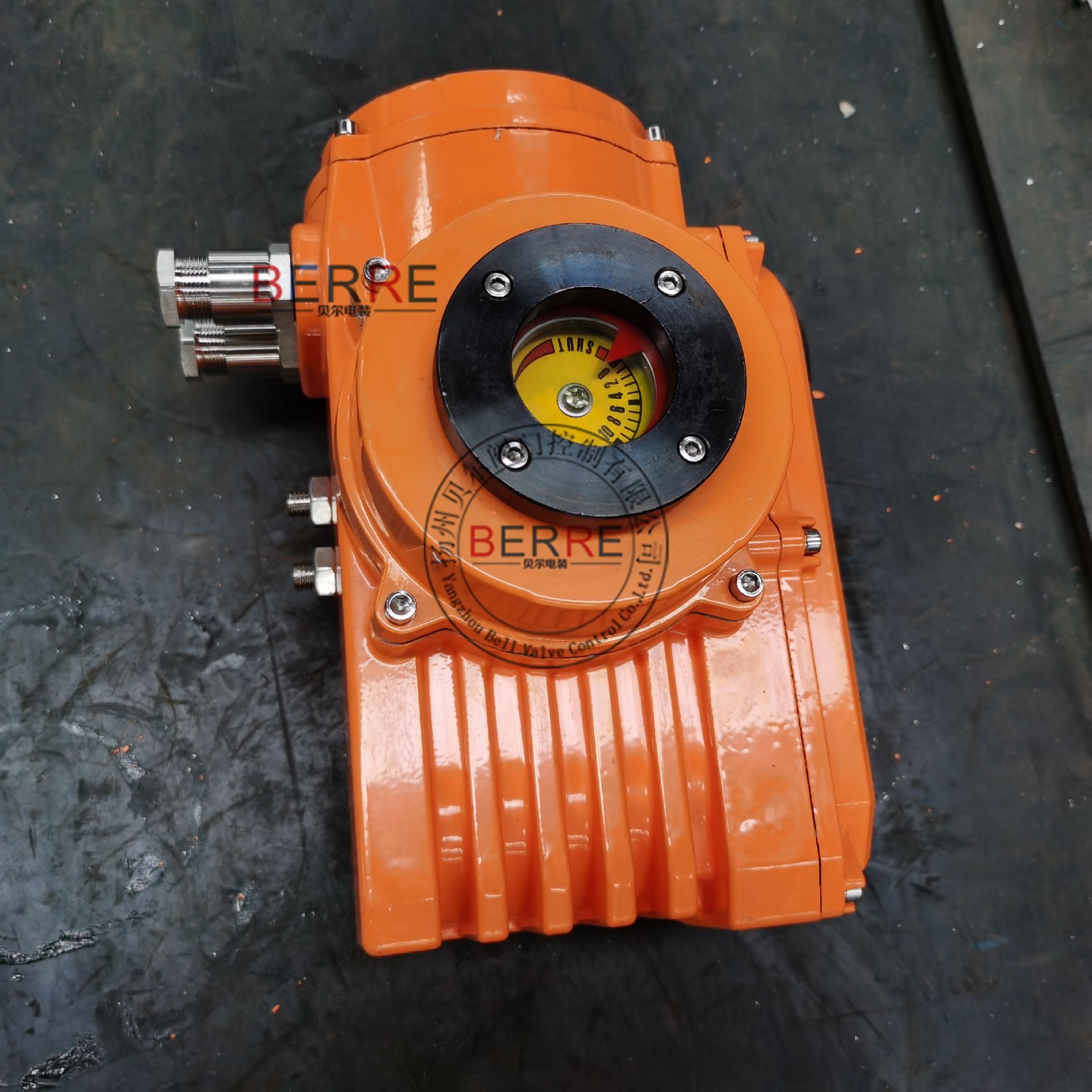 BERRE精小型开关防爆阀门电动执行器BST-10
