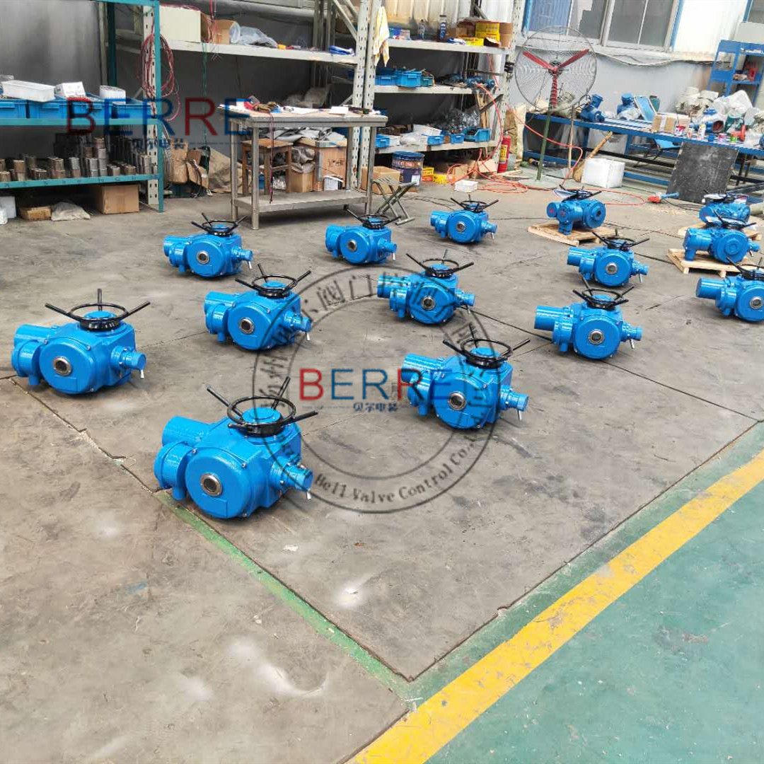 BERRE多回转电动执行机构DZW30普通开关型Z30