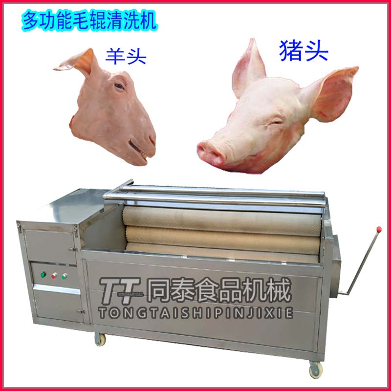 同泰不锈钢猪蹄猪头清洗机 洗猪耳朵毛刷机现货TQX-1000