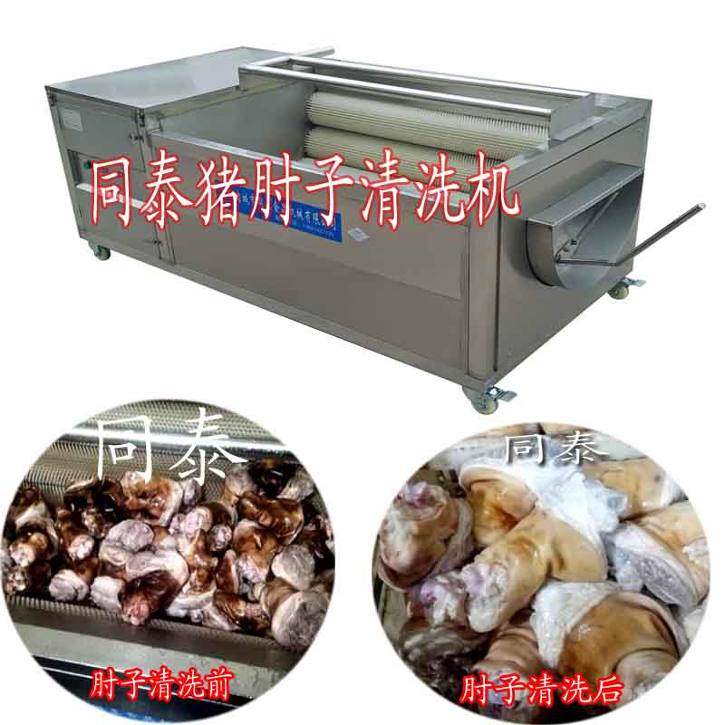 同泰不锈钢猪蹄猪头清洗机 洗猪耳朵毛刷机现货TQX-1000
