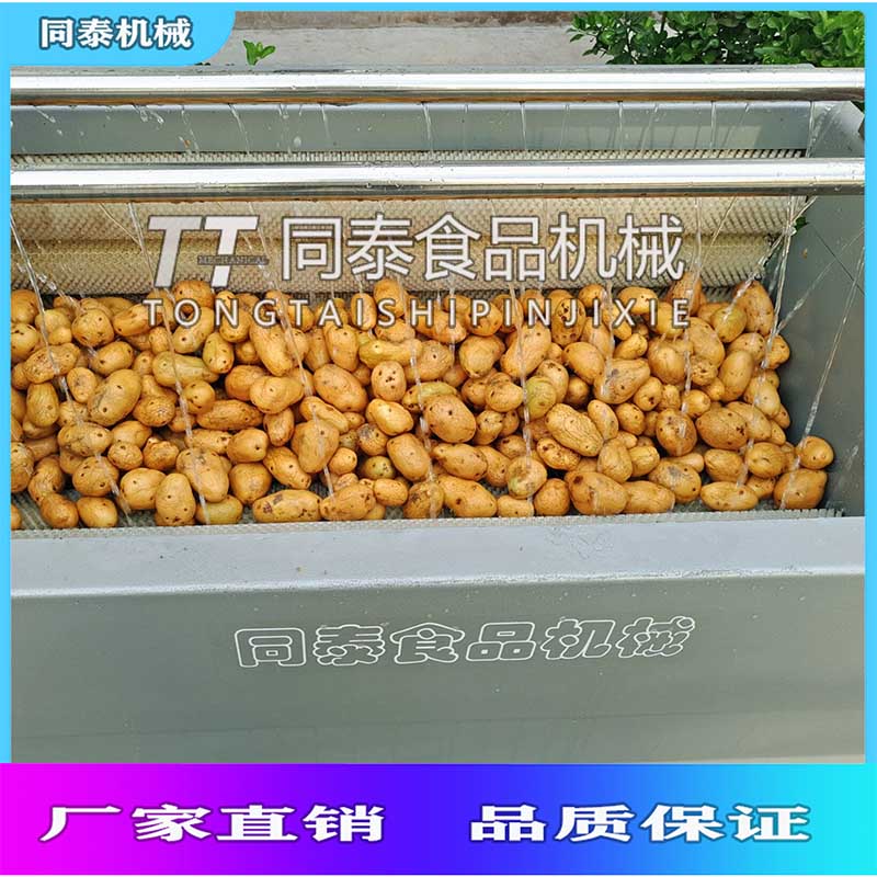 小型土豆去皮机 全自动果蔬毛辊清洗脱皮机