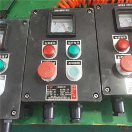 熄焦工段防水防塵防腐操作柱LNZ-A2D2B1L100/5A依客思