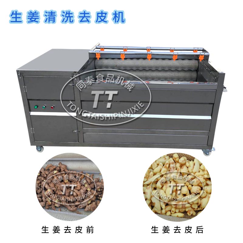 同泰红薯生姜毛辊去皮清洗机全自动土豆清洗机中药材毛辊清洗设备TQX-1000