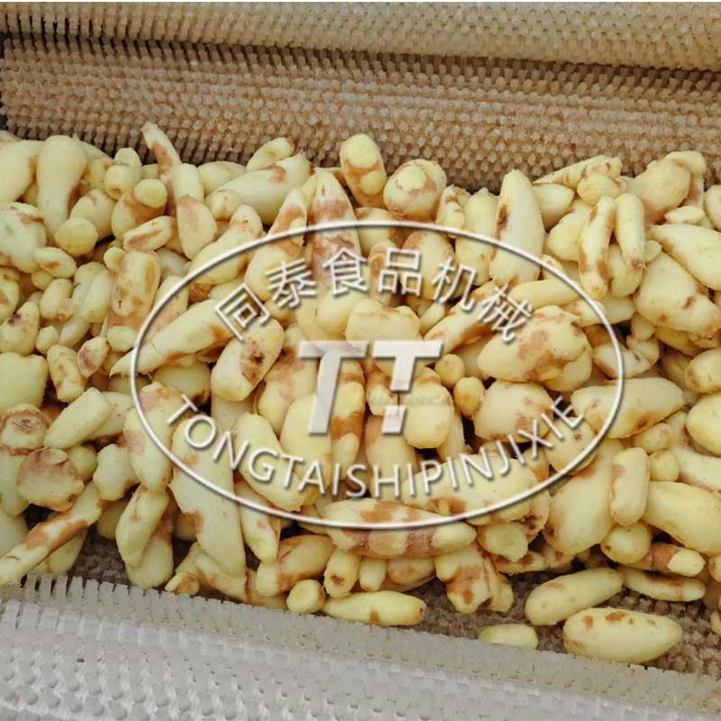 小型马蹄洗泥机 304不锈钢毛刷清洗机