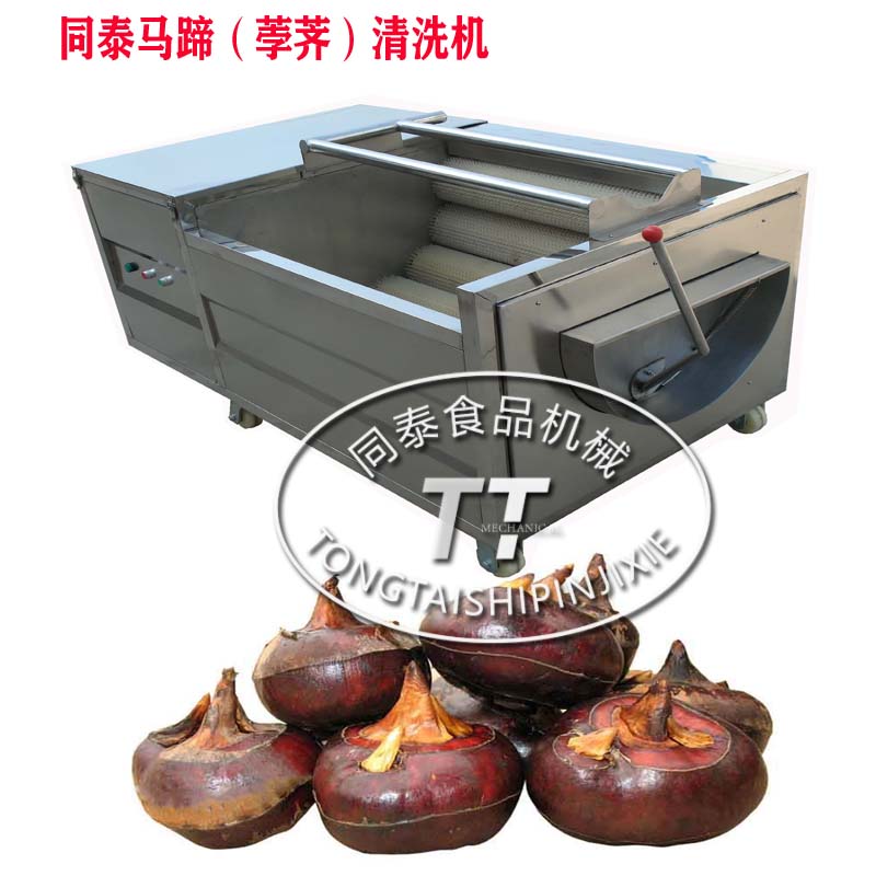 马蹄毛刷清洗机 中药材去泥设备 三七毛辊清洗机