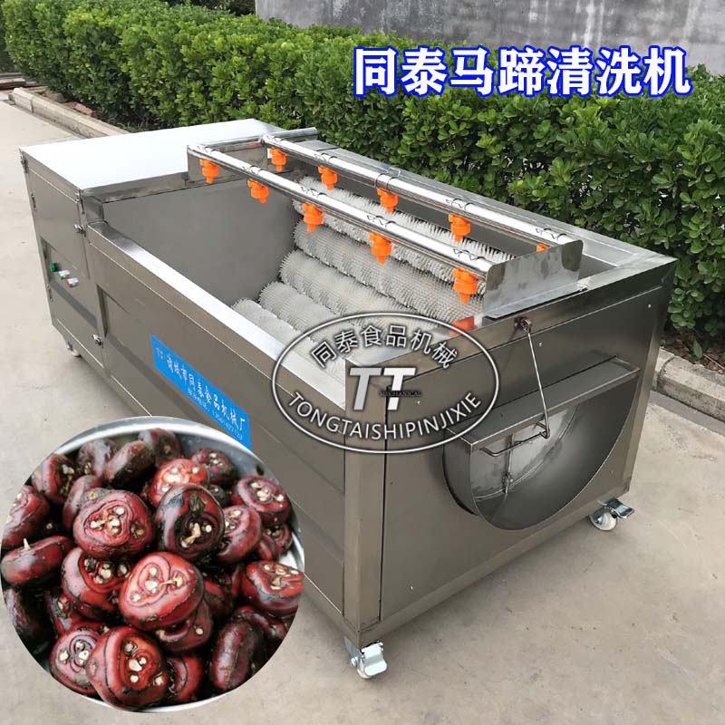 同泰小型全自动荸荠清洗去皮机洗马蹄果机器TQX-700