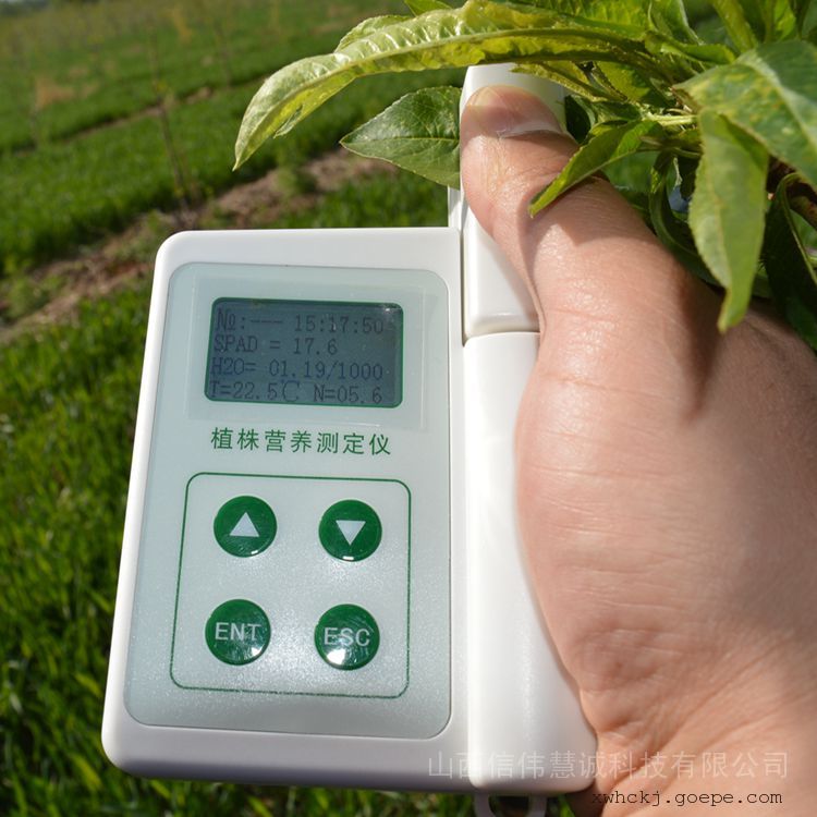 信伟慧诚植物氮素叶绿素叶温检测仪BZY-1A