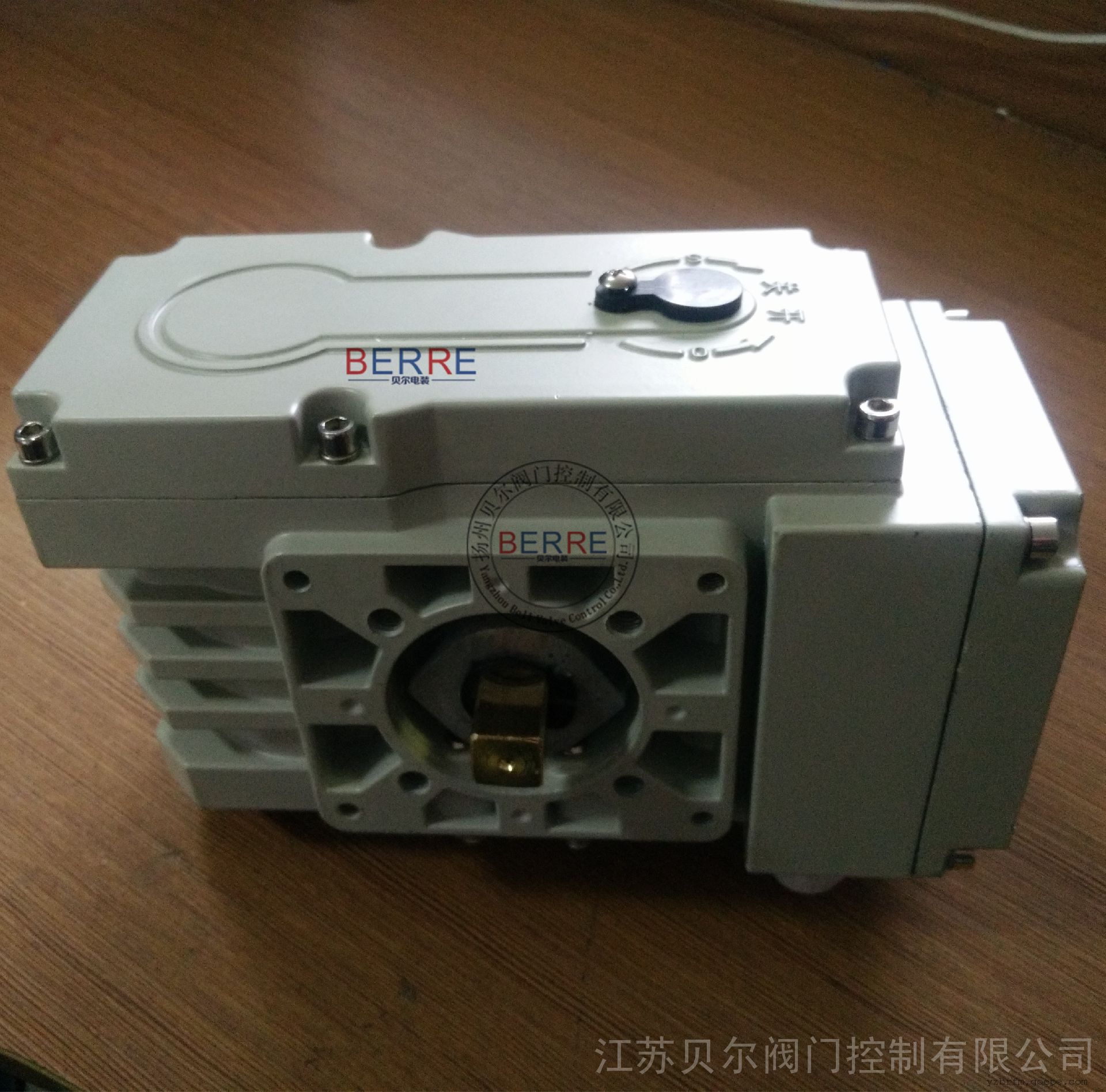 BR-10调节型电动执行机构