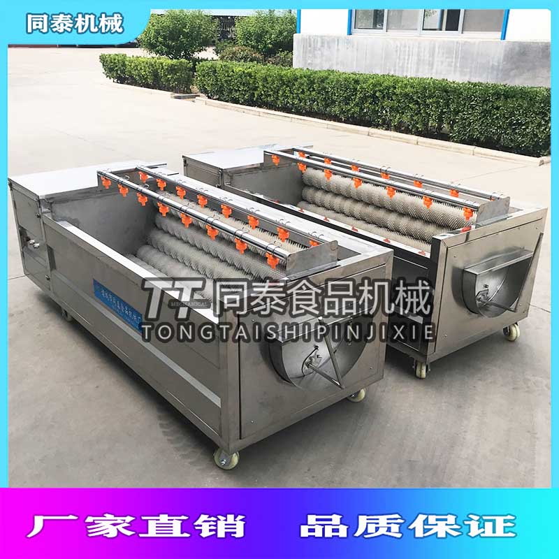 同泰全自动羊蹄清洗机洗马蹄胡萝卜机天麻去泥机TQX-1000