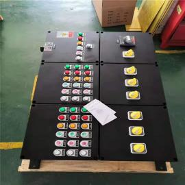 依客思 BXMD8050-T 防爆防腐儀表箱非標定做