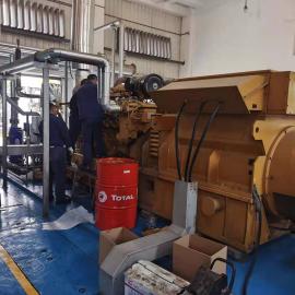 綠聯(lián)凈化沼氣發(fā)電機(jī)組尾氣脫硝工程 氮氧化物凈化器安裝調(diào)試SCR脫硝系統(tǒng)