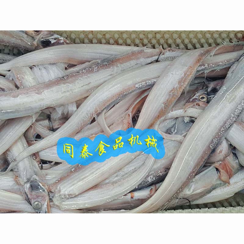 同泰刀鱼段清洗机毛辊清洗去鱼鳞机洗带鱼毛刷清洗设备TQX-1000