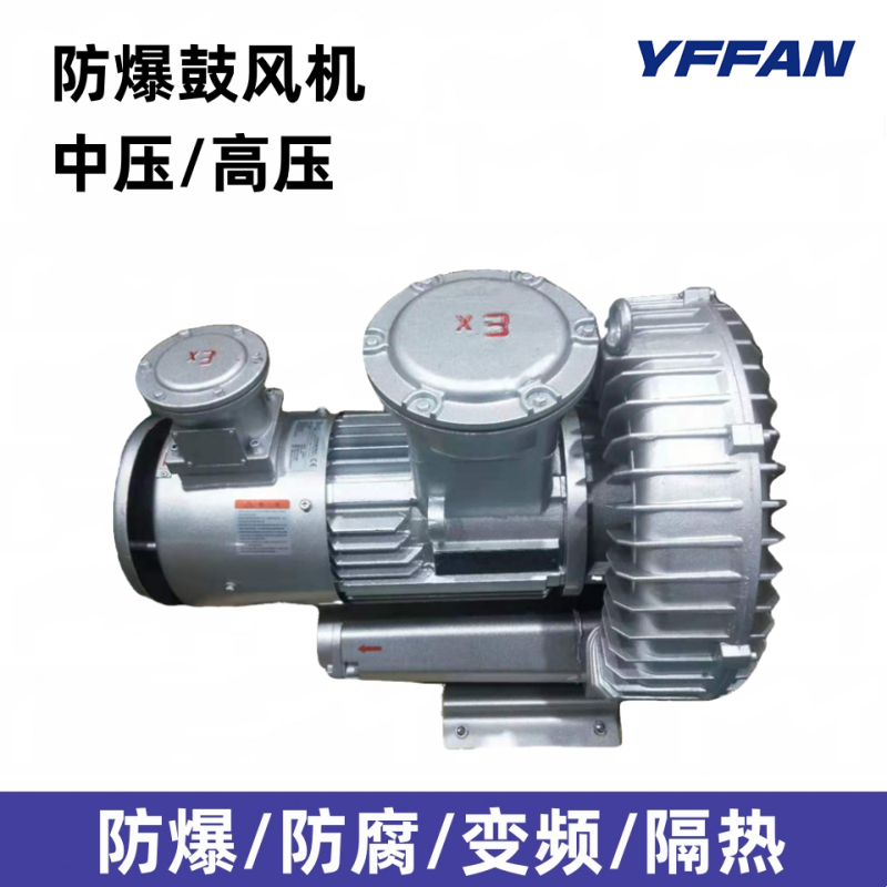 油气回收专用高压防爆鼓风机EX-B-2豪冠