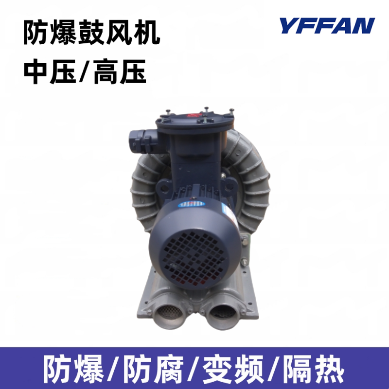 油气回收专用高压防爆鼓风机EX-B-2豪冠