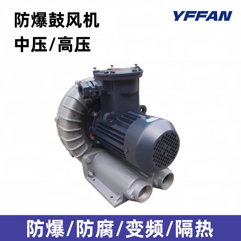 油气回收专用高压防爆鼓风机EX-B-2豪冠