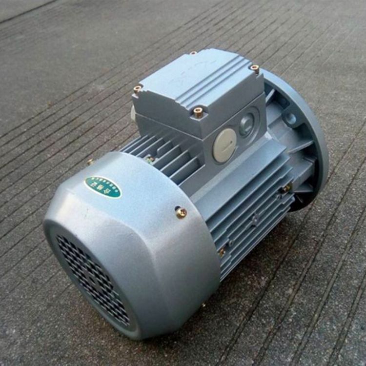 紫光MS100L2-4电机3KW紫光电机