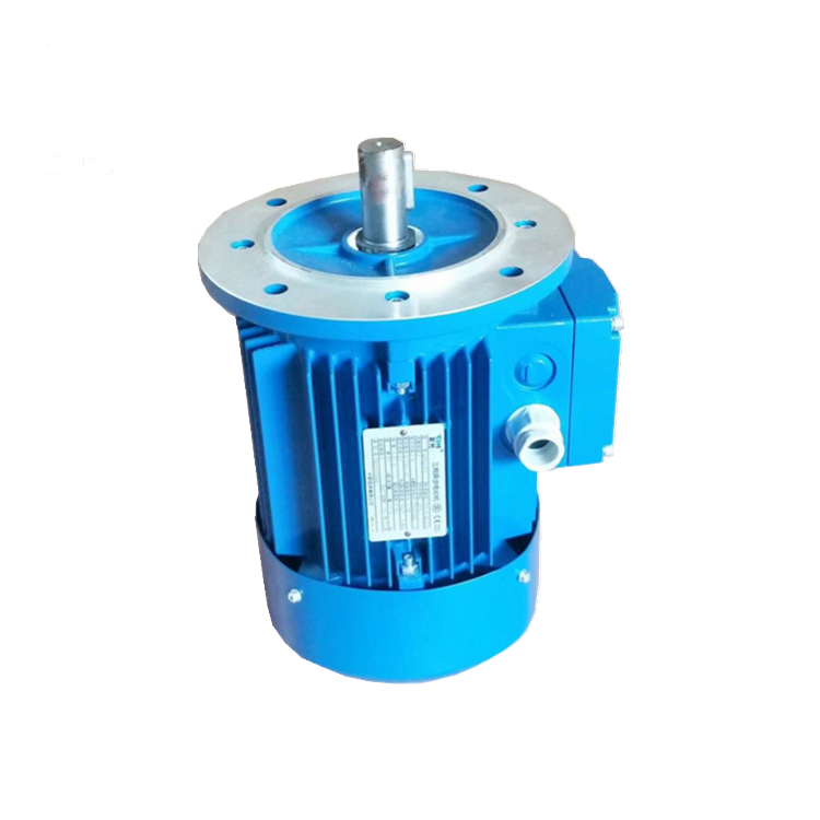 中研紫光MS100L1-4NMRW110涡轮减速机