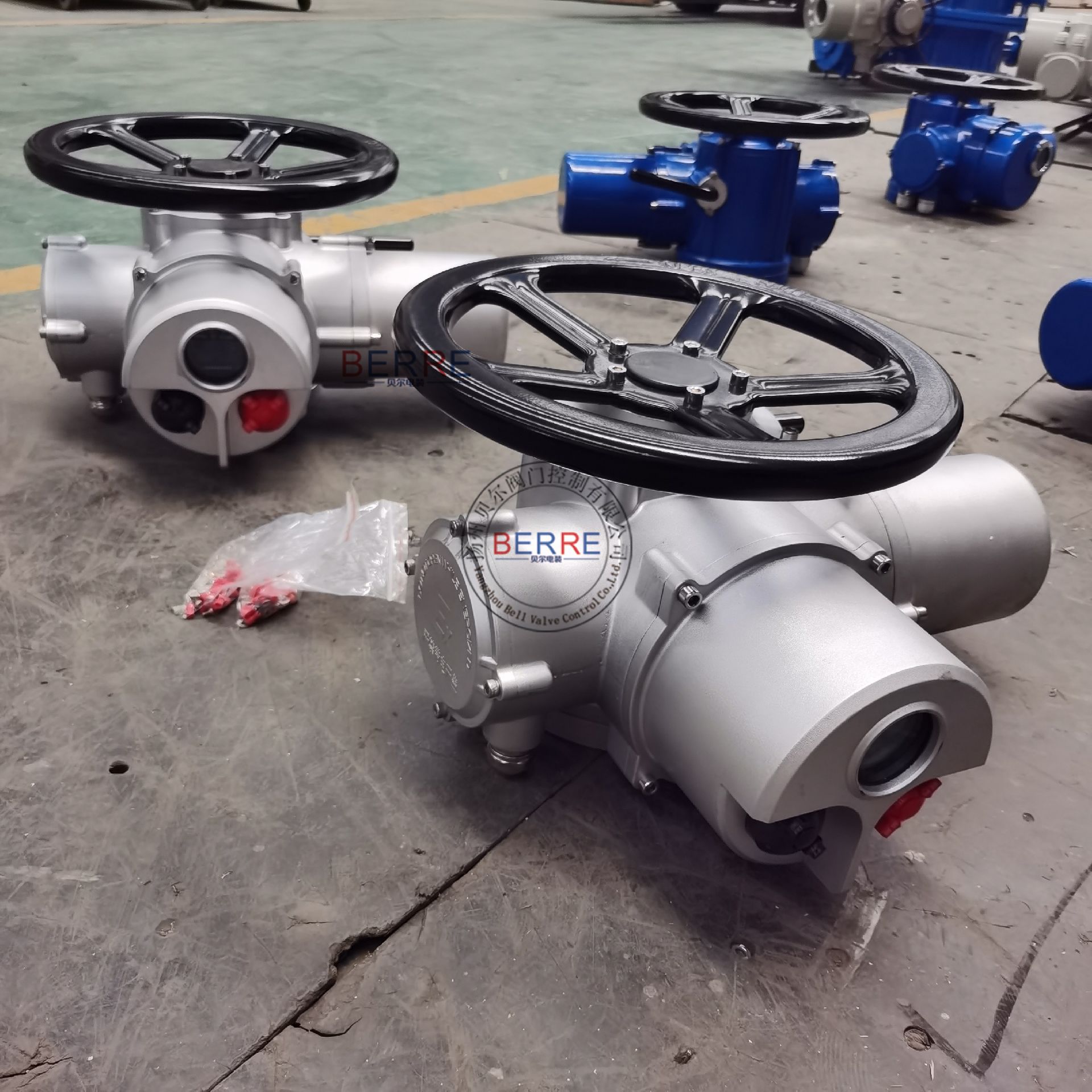 BERREDZW10B整体防爆型阀门装置