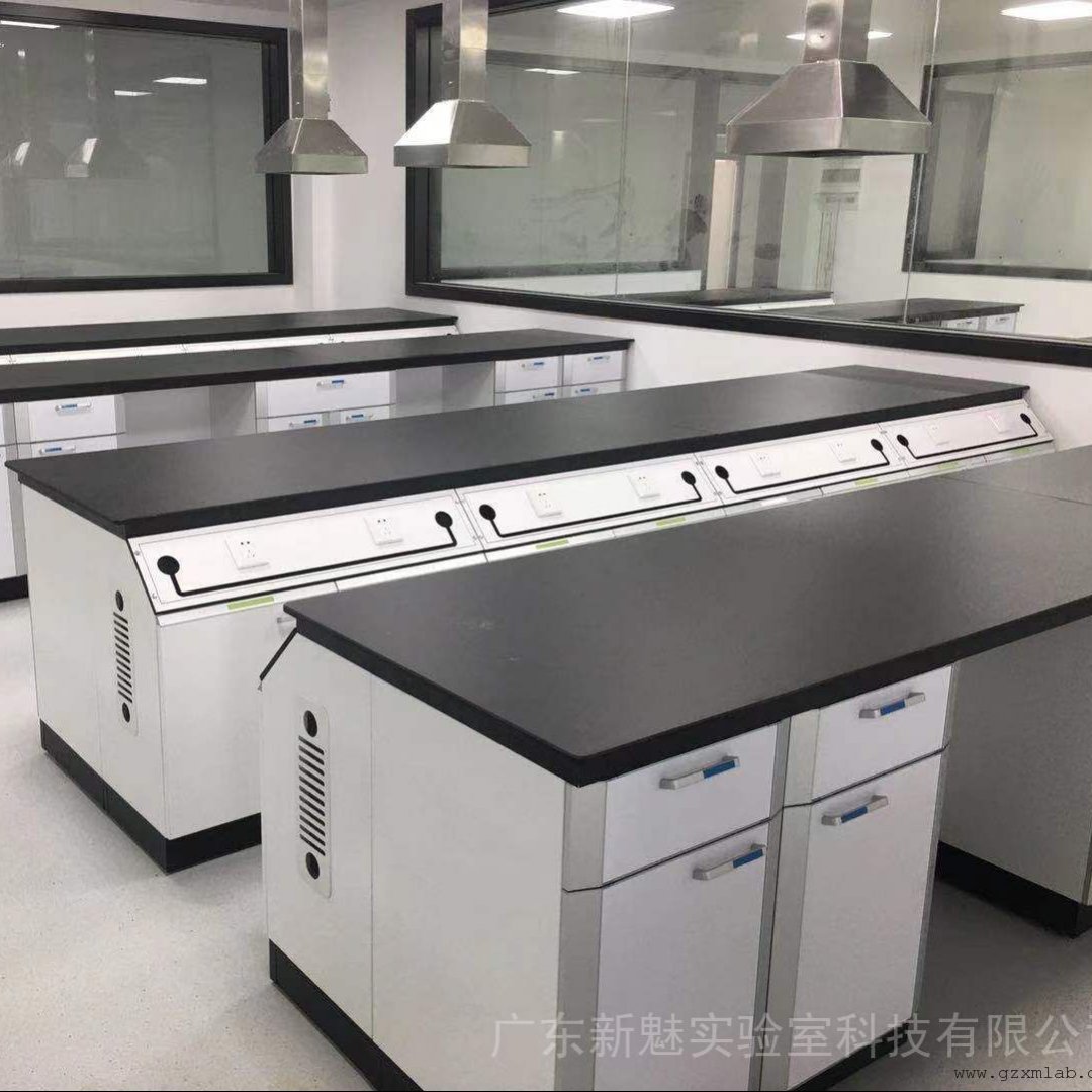 新魅—洁净实验室家具 钢木实验桌 中央台定制XMLAB-232