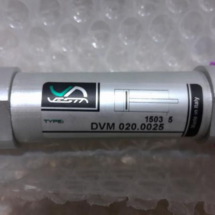 Vesta意大利品牌vesta 气缸制造商进口原装型号DVM20.25 DVM20.25 