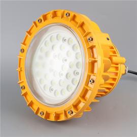 壁式100W化工廠車間危險(xiǎn)品倉(cāng)庫(kù)作業(yè)照防爆燈法欄式EKS210-100依客思