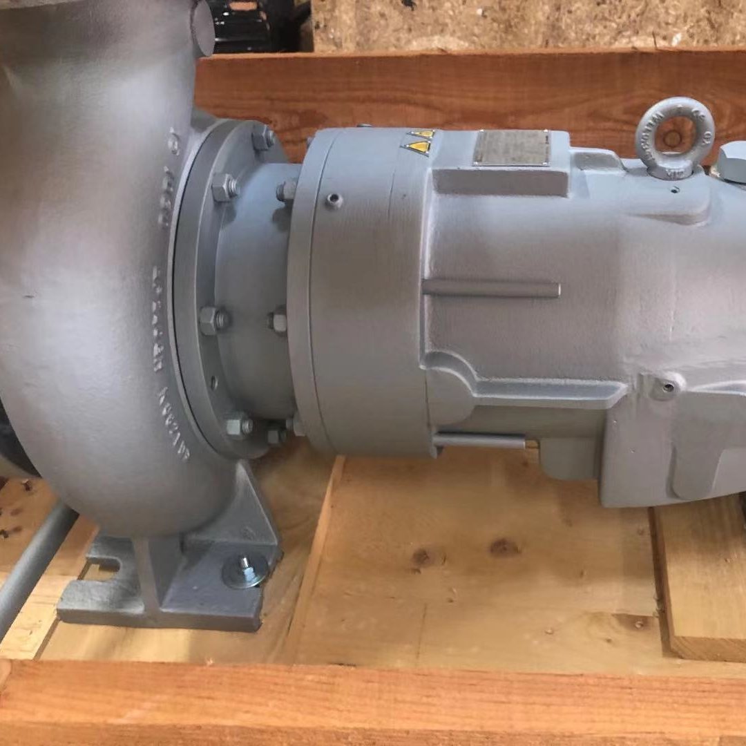 dickow pumpen磁力泵用于工业加热行业NMBh 50/125/123,