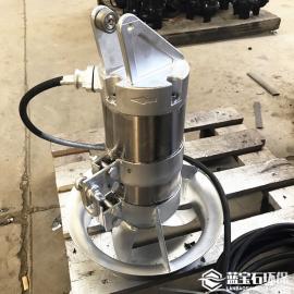 藍(lán)寶石水處理工藝快混攪拌機(jī)QJB1.5kw