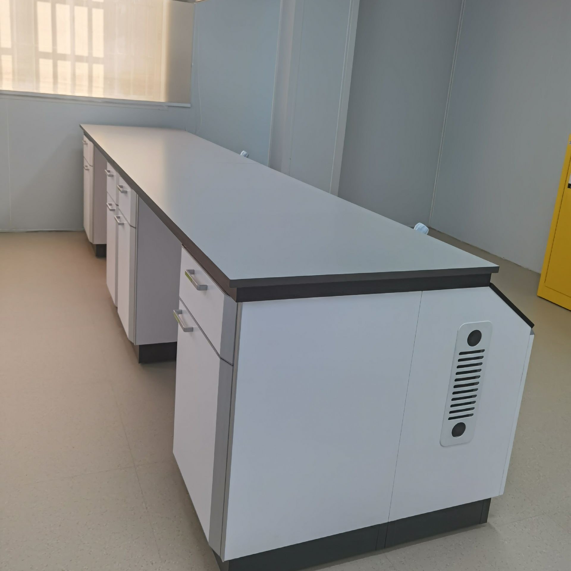 新魅—生产实验室工作台通风柜等实验家具 产品齐全XMLAB-232