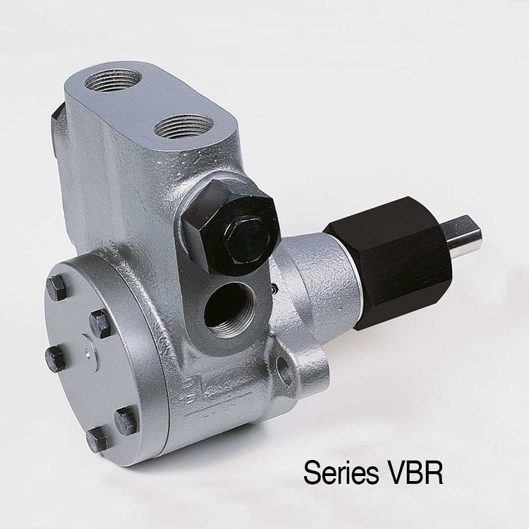 HP-TECHNIK VBH G-D-4-15-H1 VBR系列工业泵