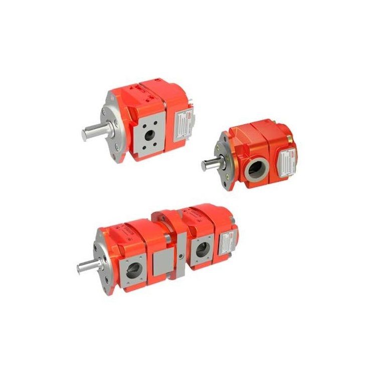Bucher HydraulicsQX61-250 QX内啮合齿轮泵机床应用