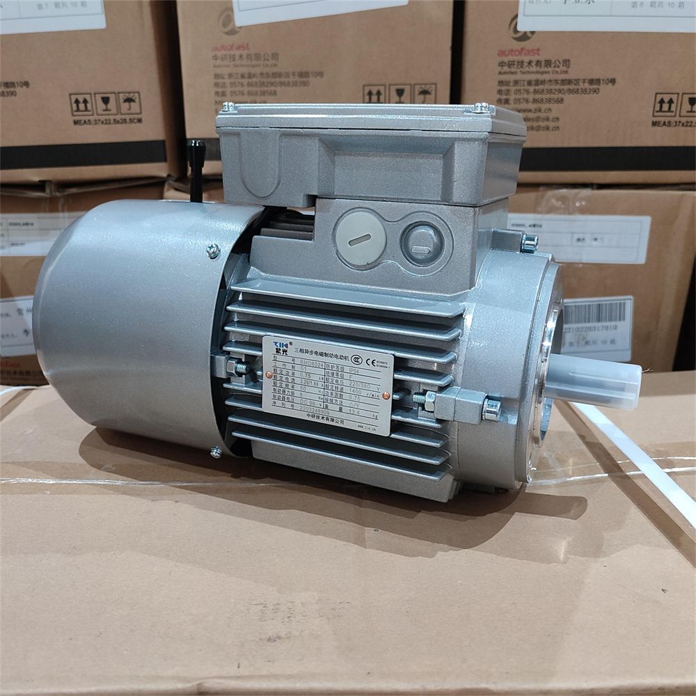 BMD8014紫光刹车电机