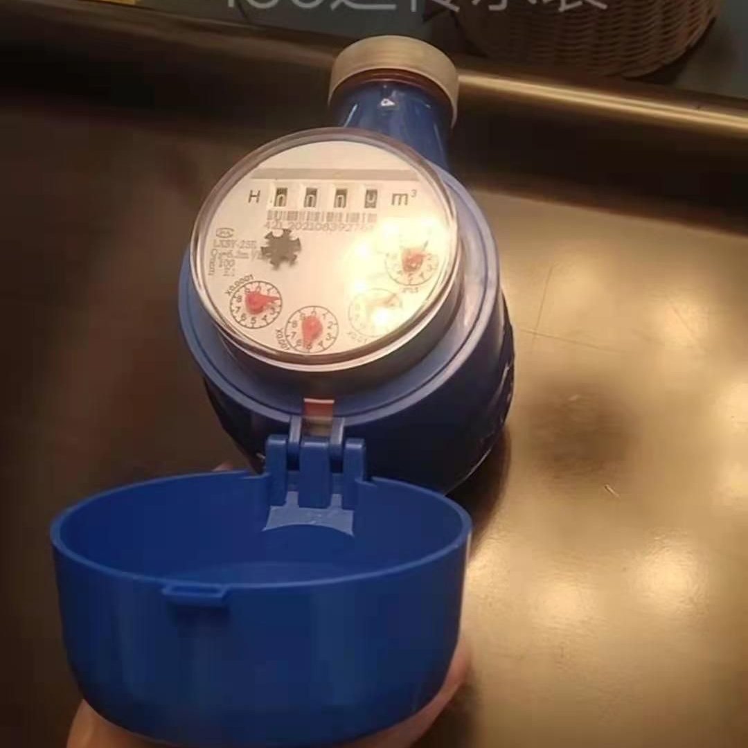 华邦光电直读表DN20