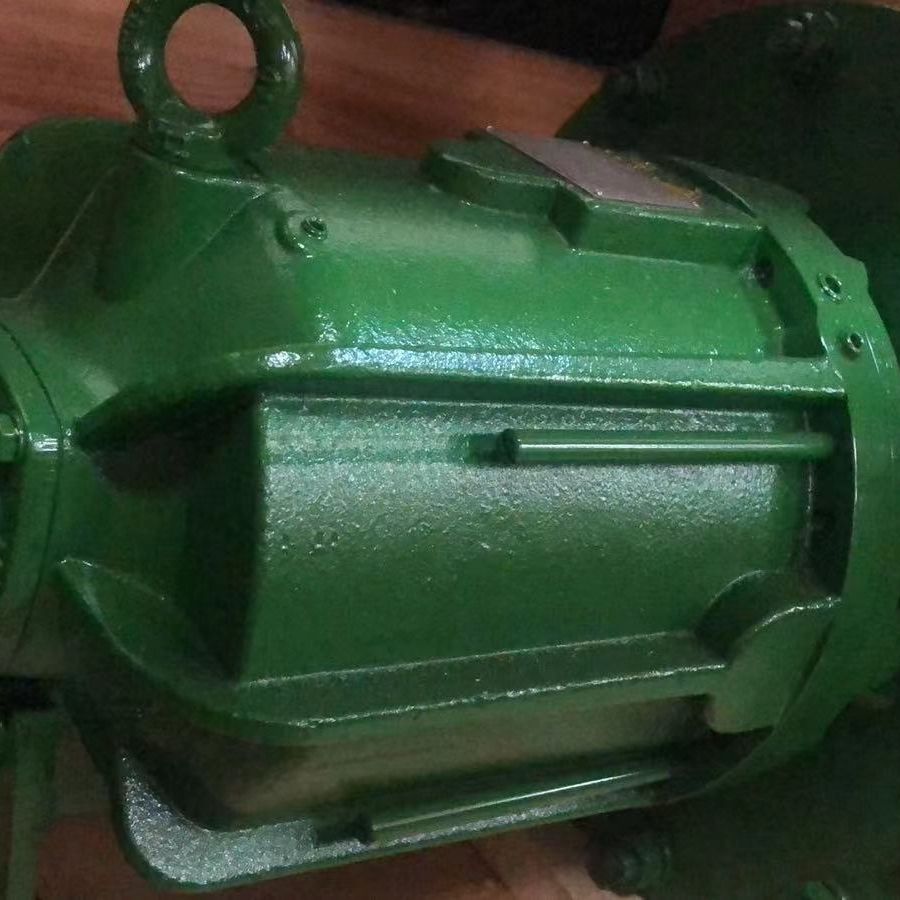 Dickow Pumpen带永磁联轴器的单级或多级侧通道泵SCMB h 3565