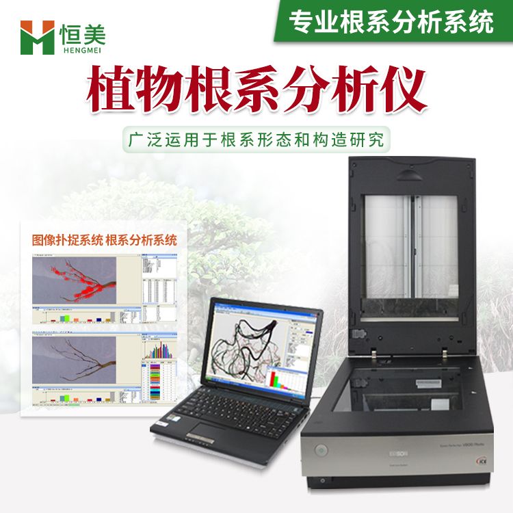 恒美植物根系分析仪 农业种植WinRHIZO