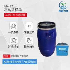 國瑞力恒惡臭采樣裝置 污染源臭味采樣器GR1213