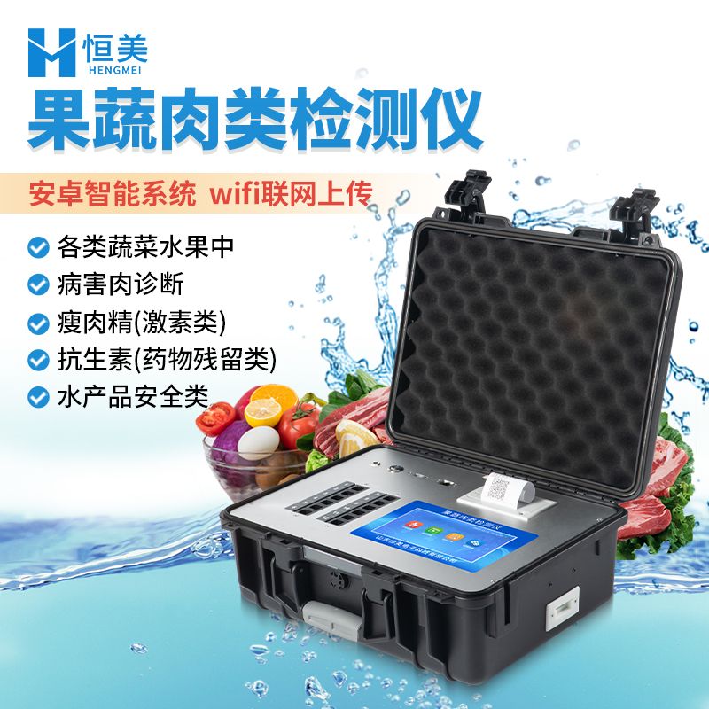 恒美果蔬肉类检测仪HM-GR