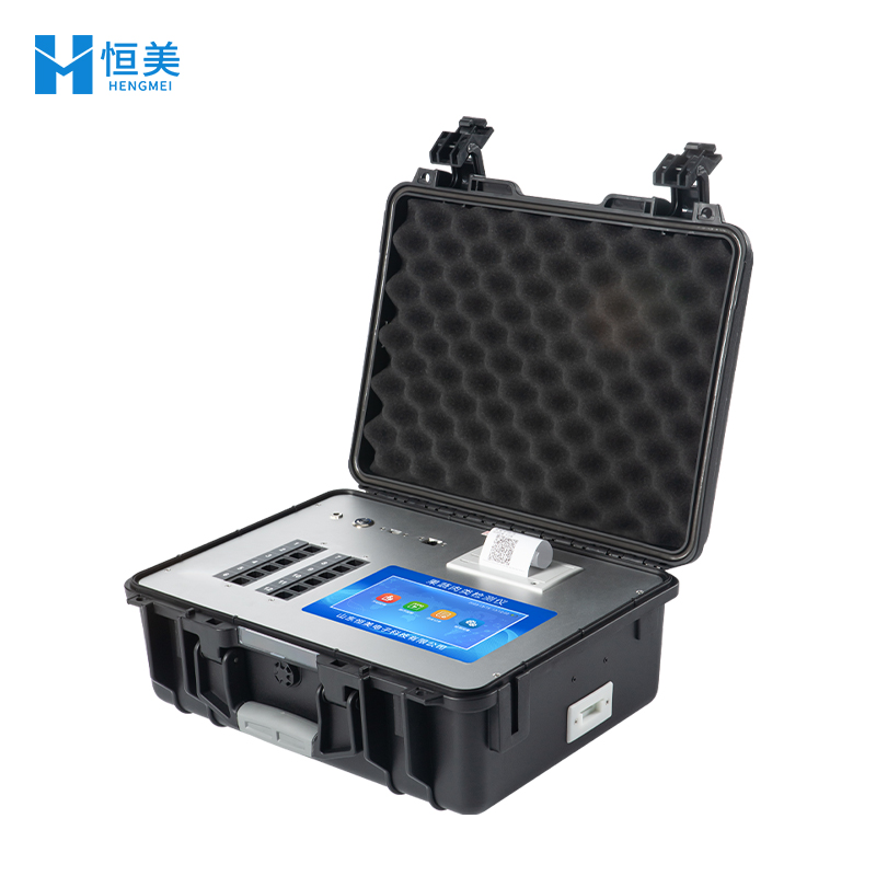 恒美果蔬肉类检测仪HM-GR